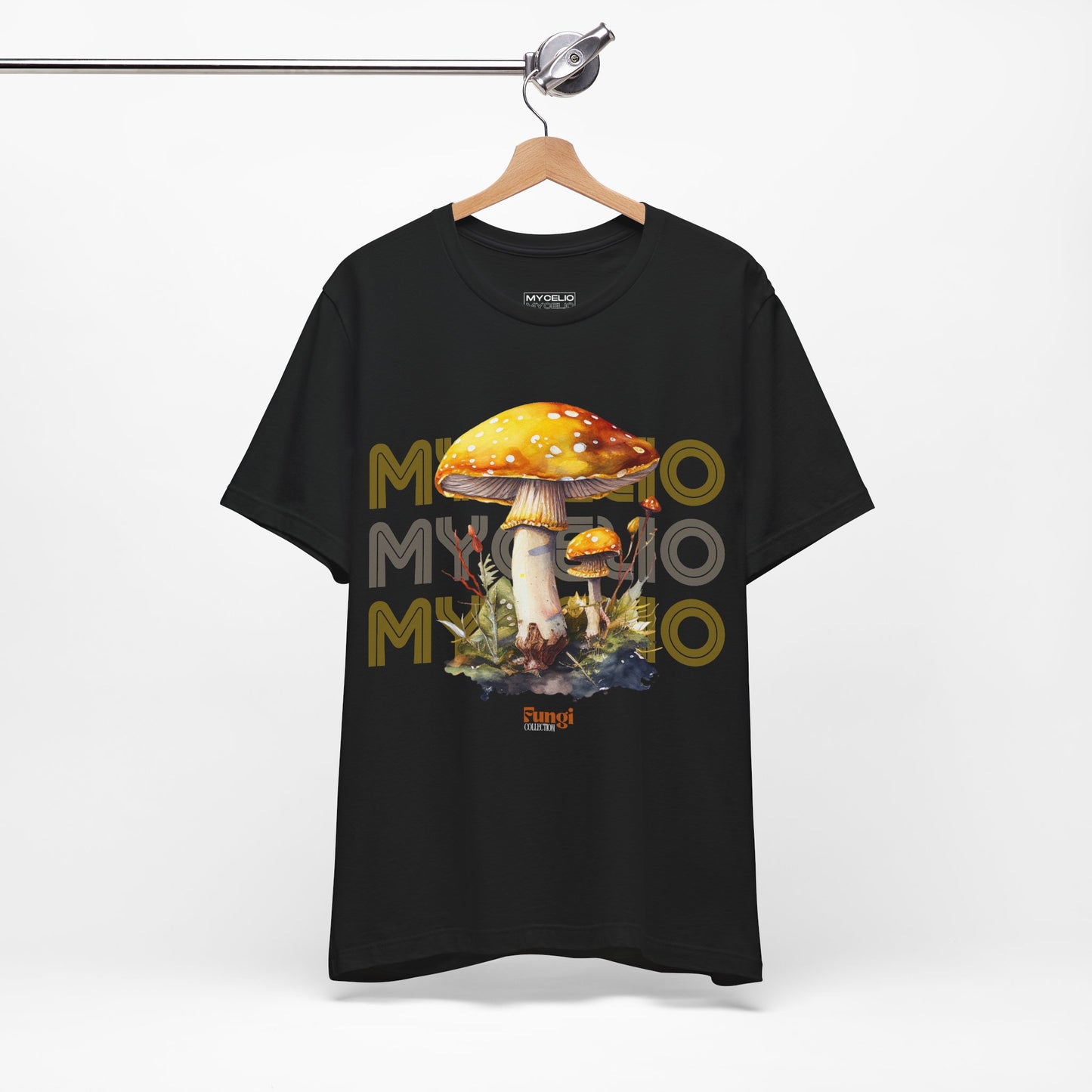 Amanita Y2