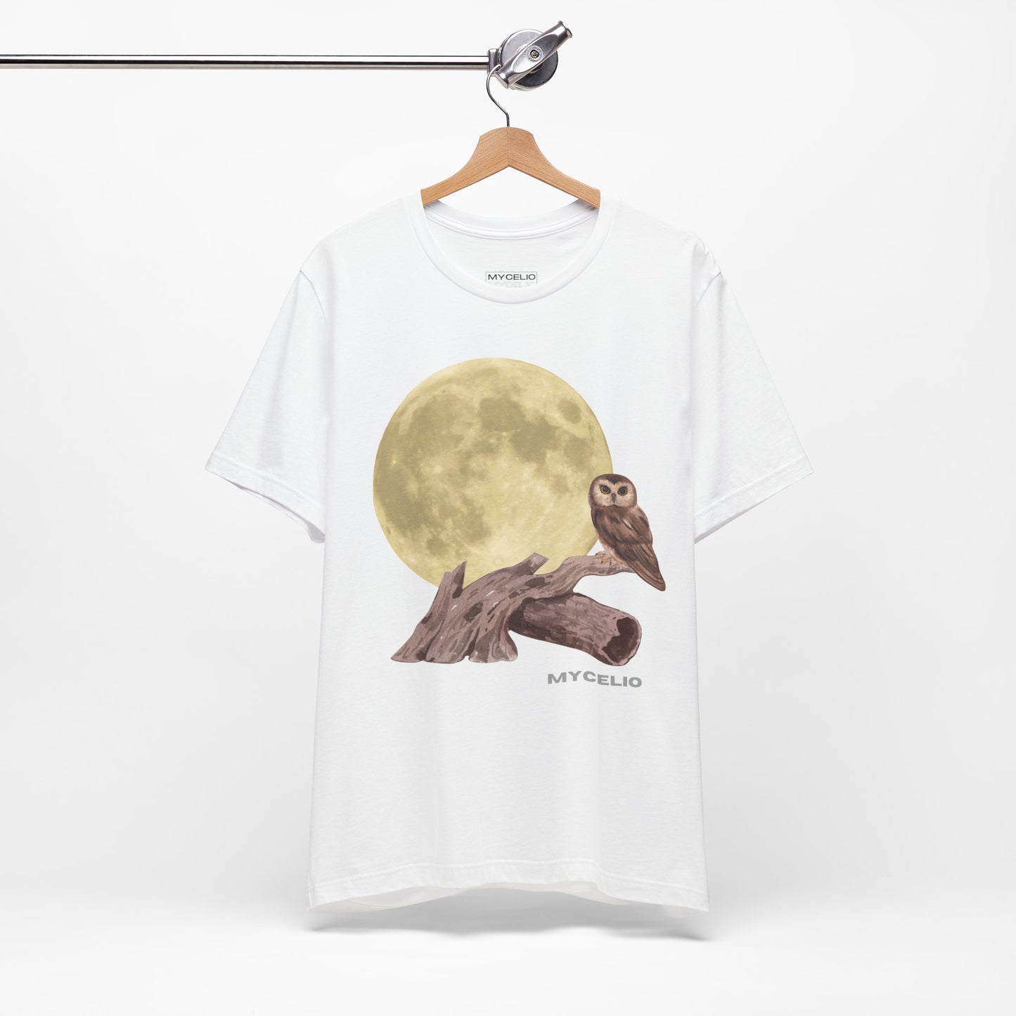 Moonlit Owl
