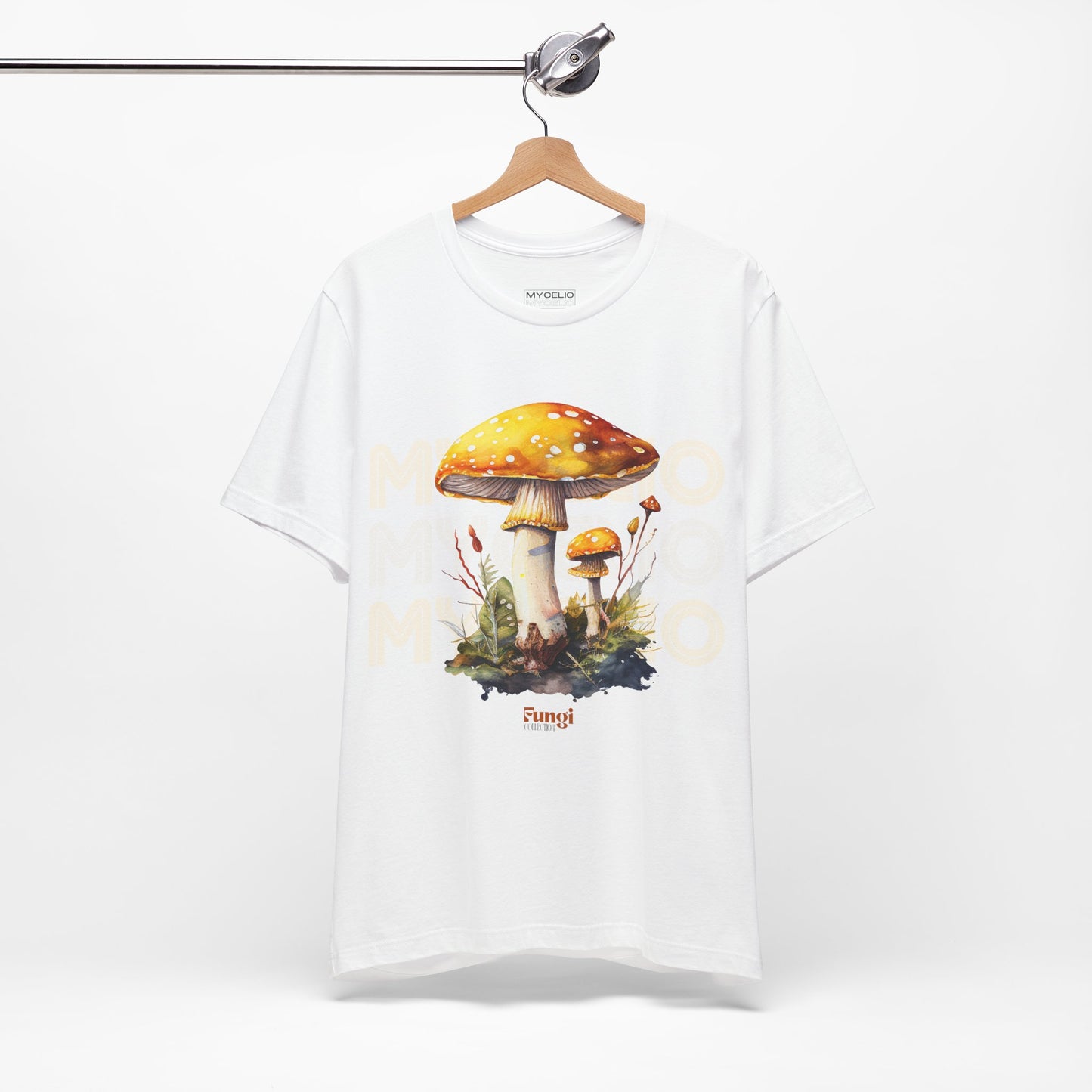 Amanita Y2
