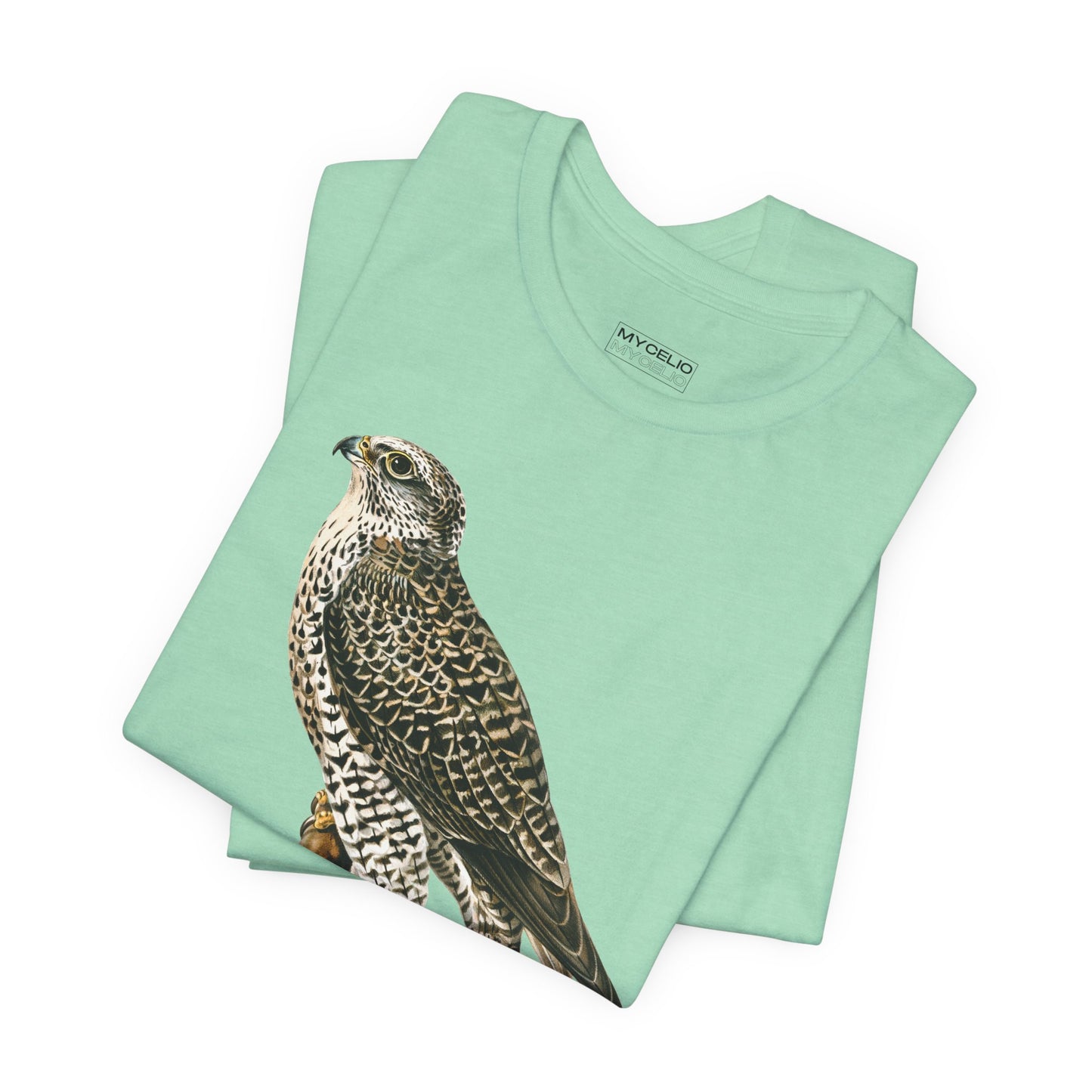 Peregrine Falcon