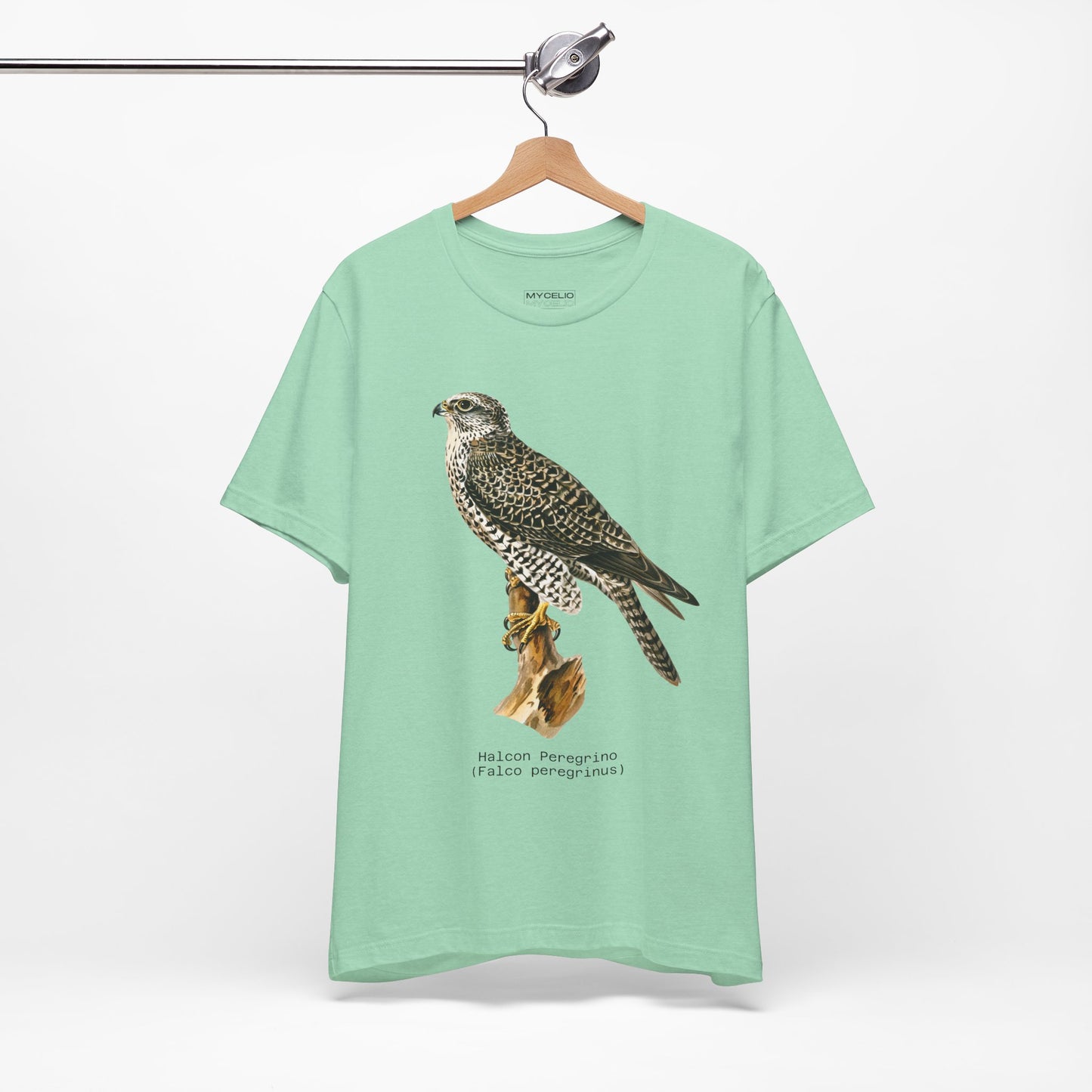 Peregrine Falcon