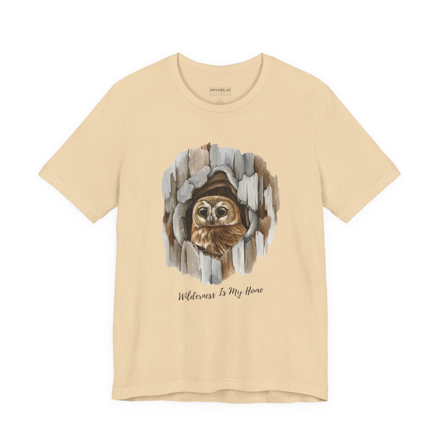 Owl Home