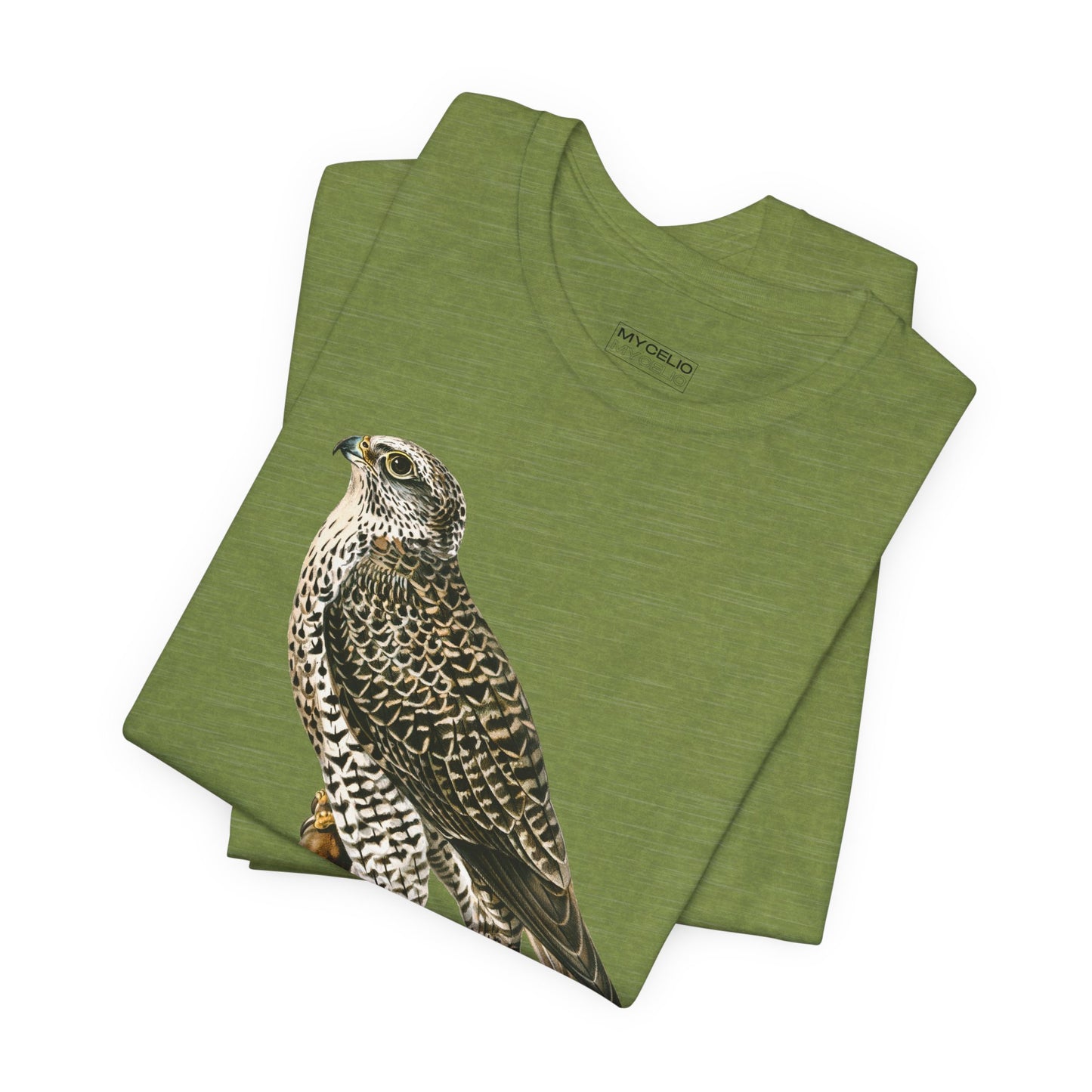 Peregrine Falcon