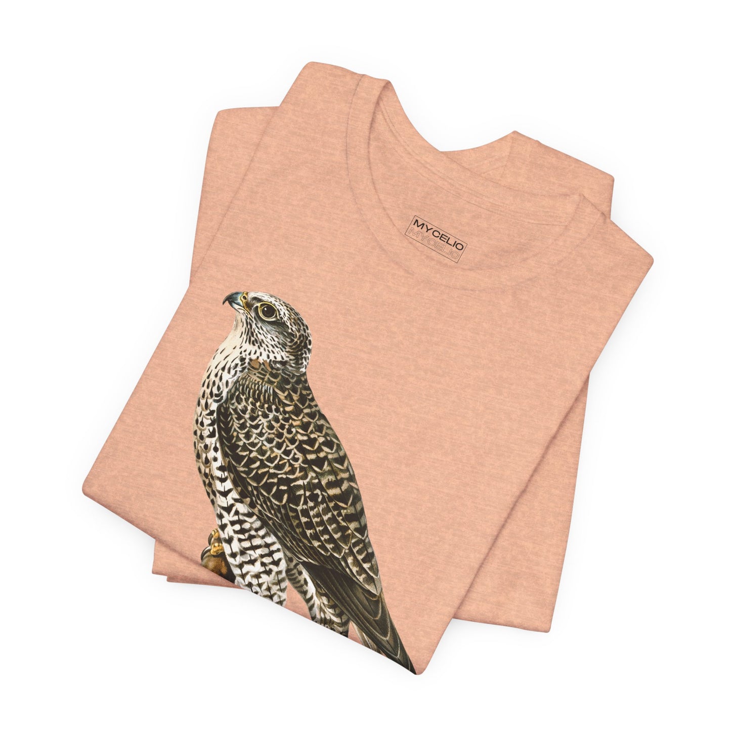 Peregrine Falcon