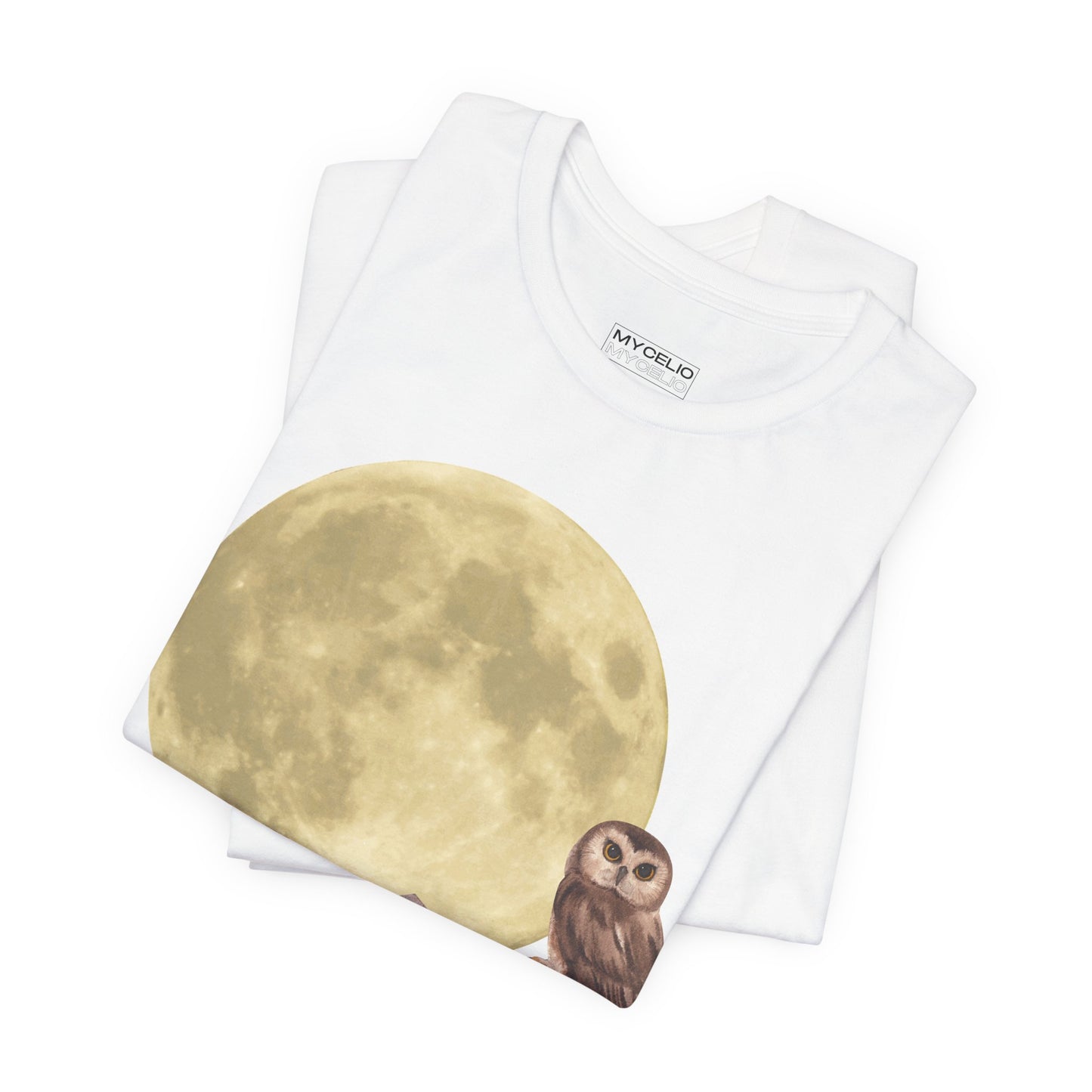 Moonlit Owl