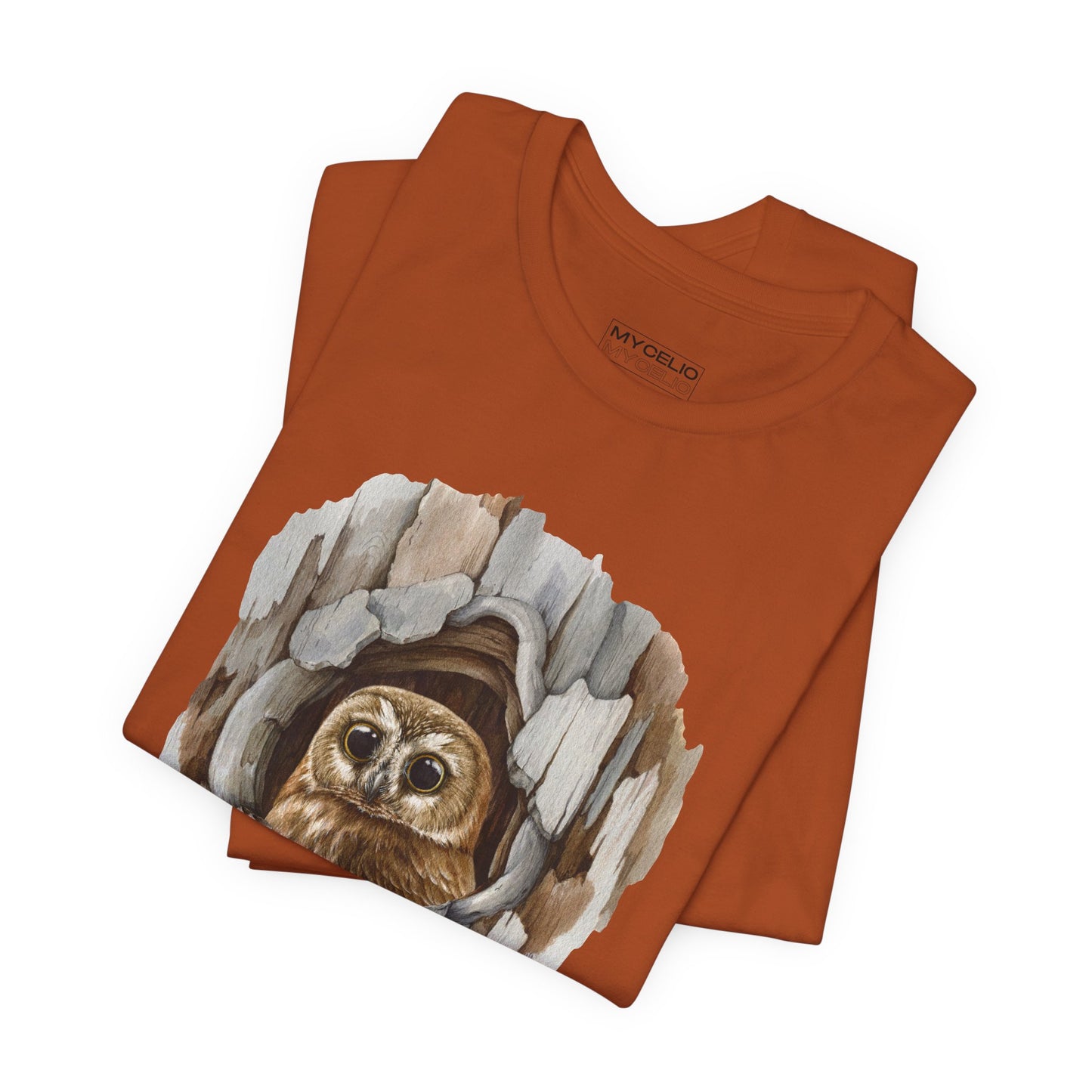 Owl Home