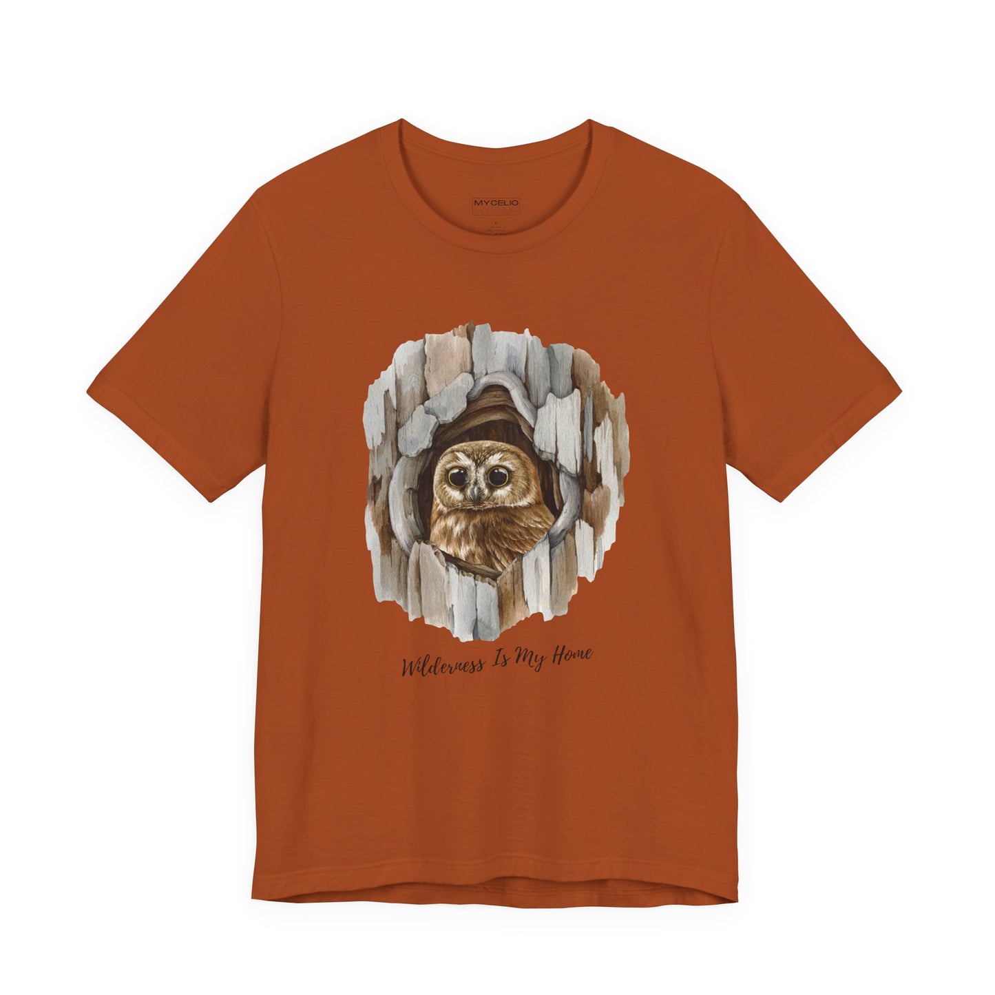 Owl Home