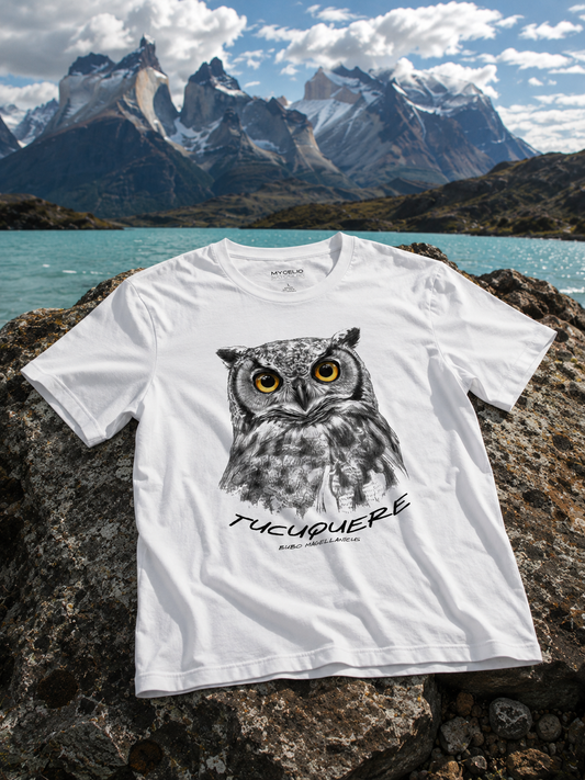 Tucuquere (Bubo magellanicus)