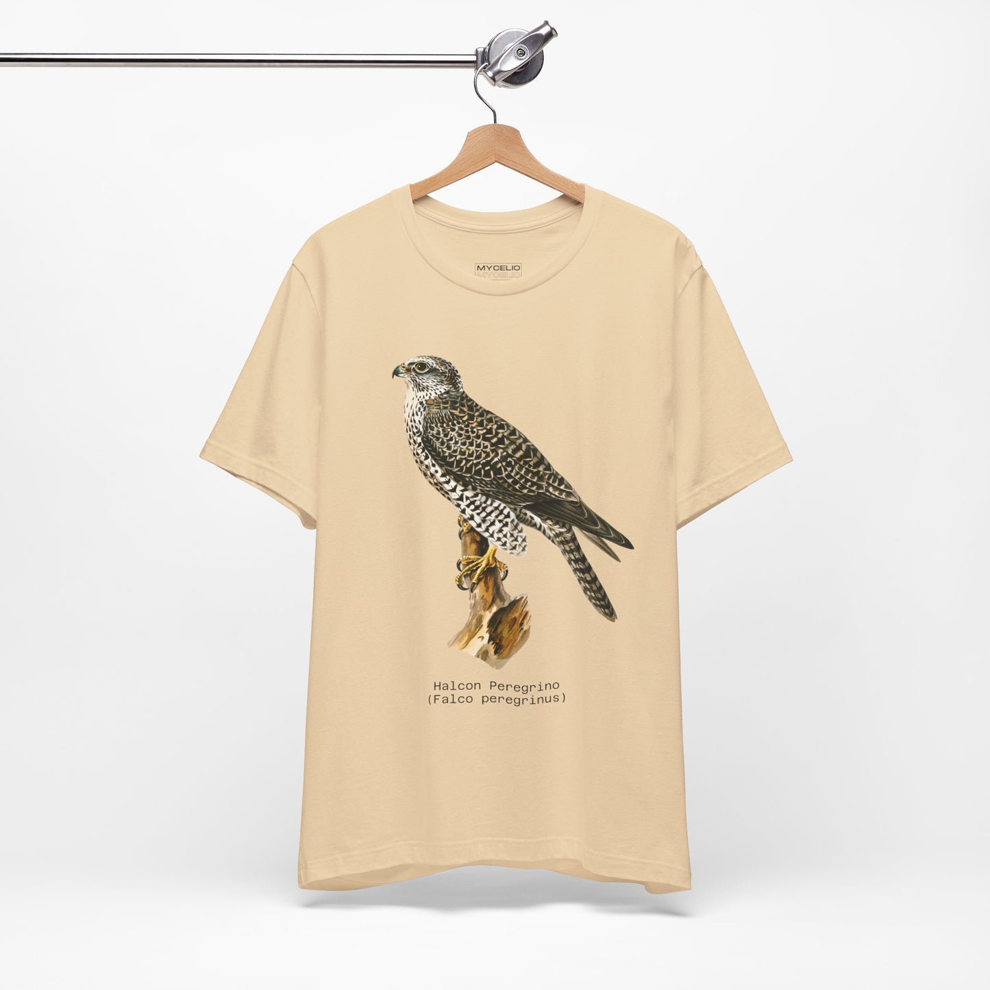 Peregrine Falcon