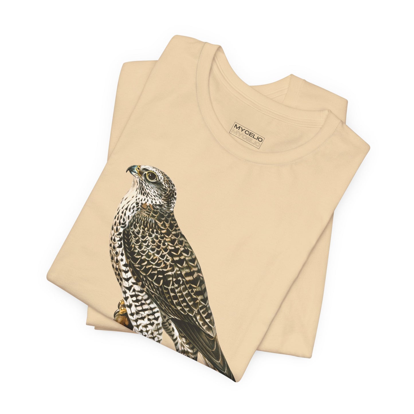 Peregrine Falcon