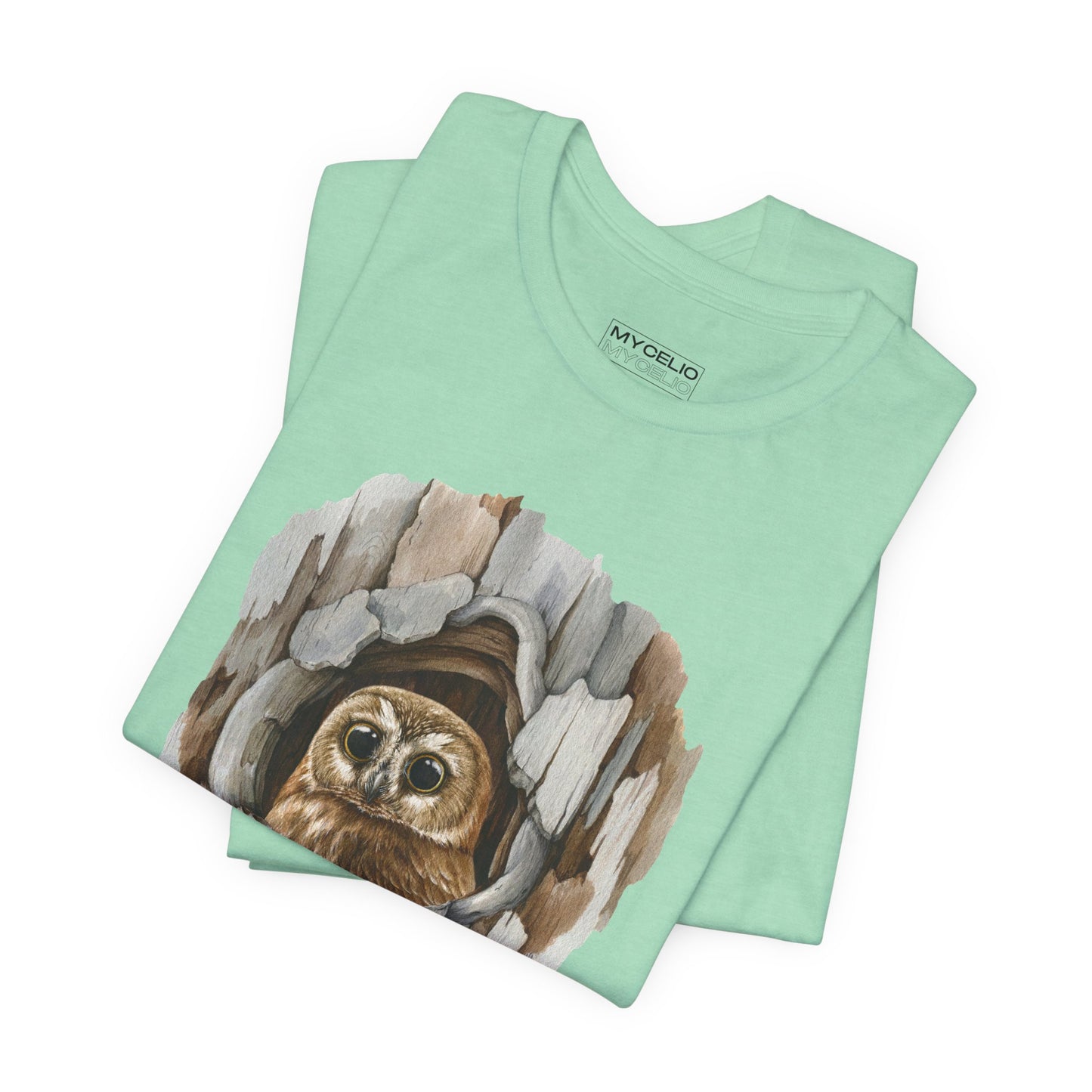 Owl Home