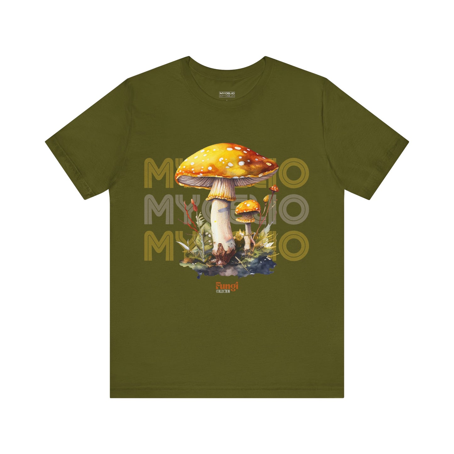 Amanita Y2