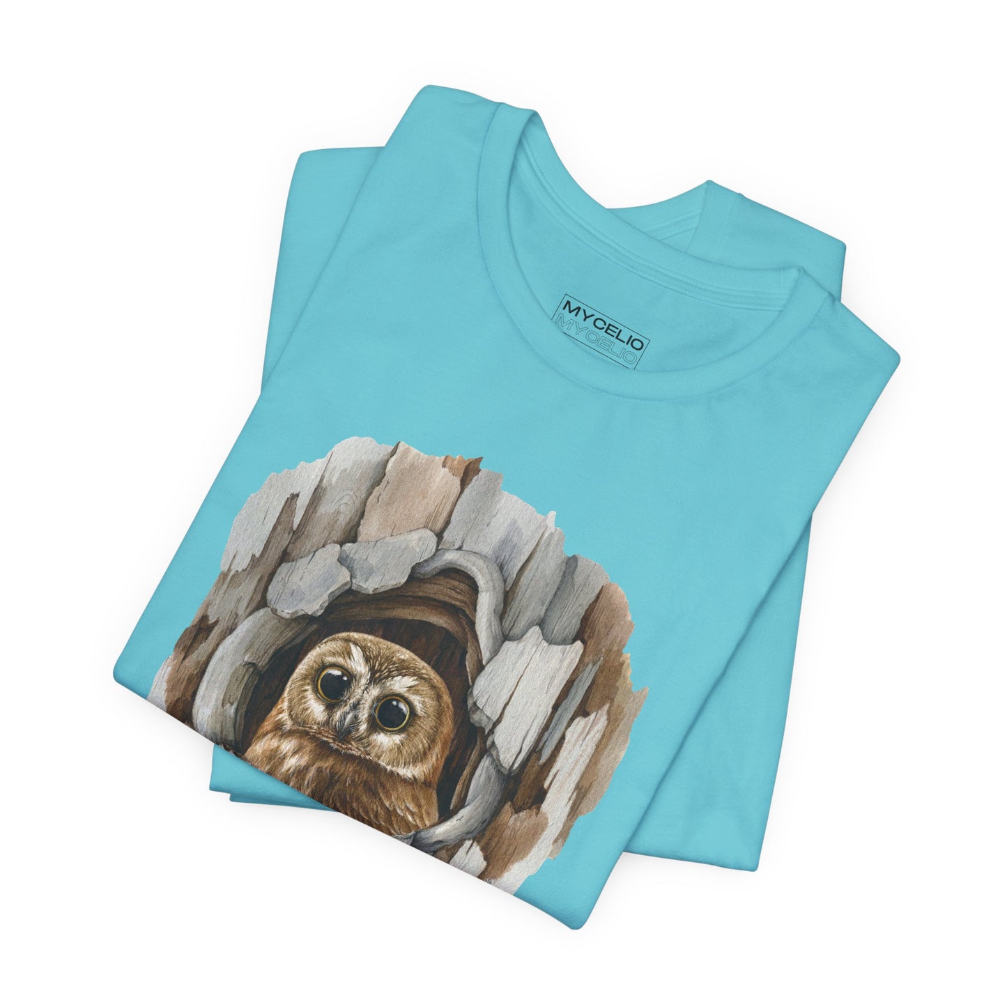 Owl Home