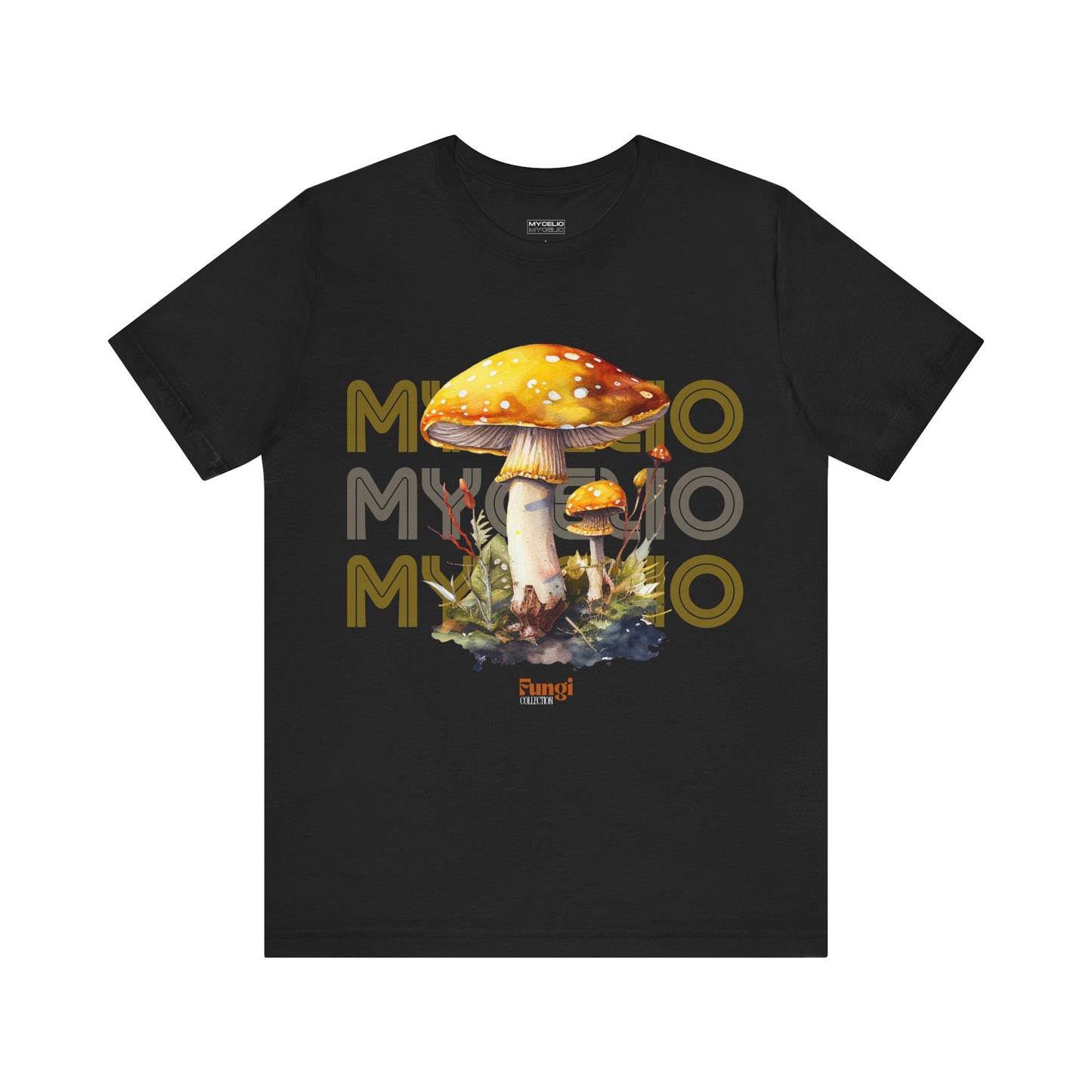 Amanita Y2