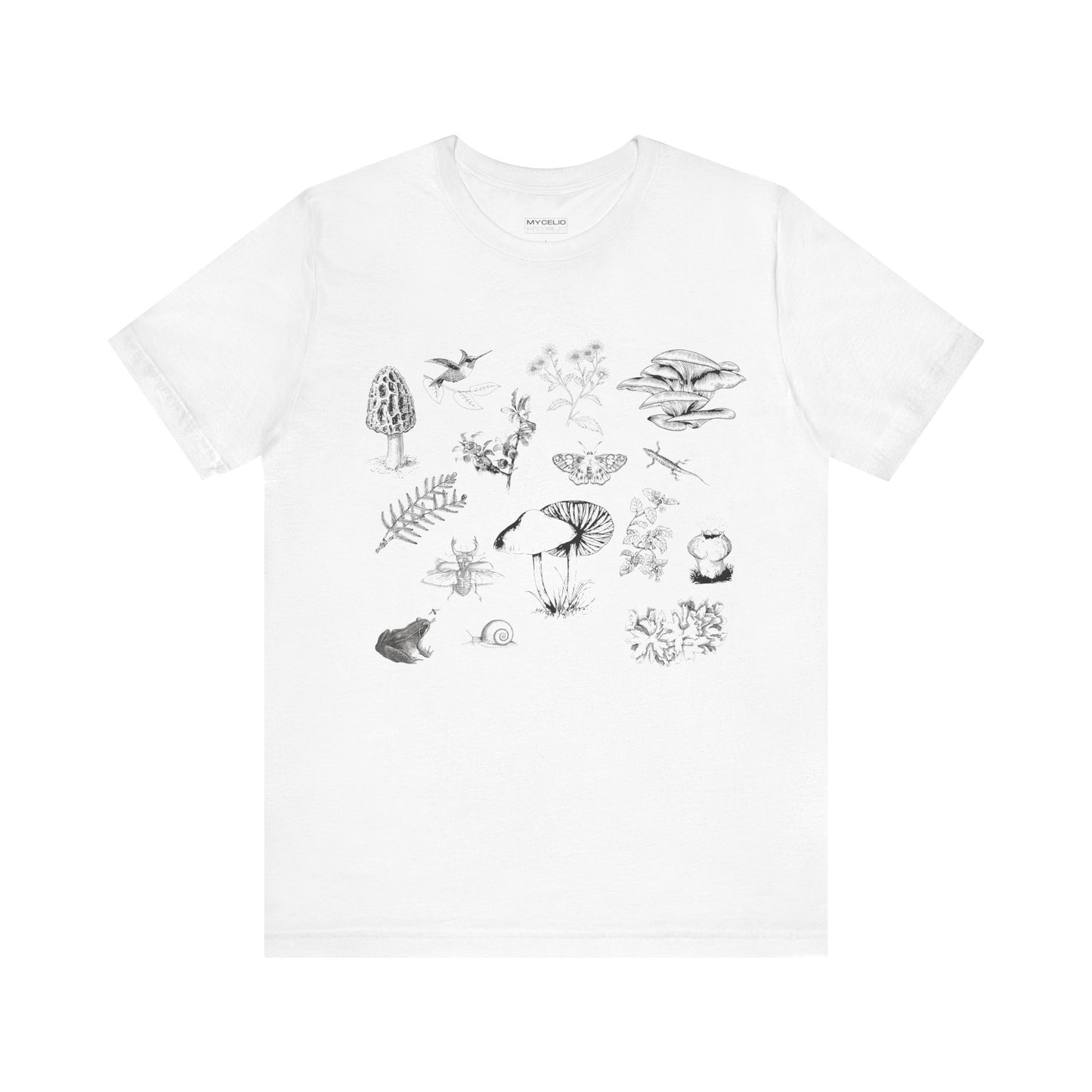 Botanical art