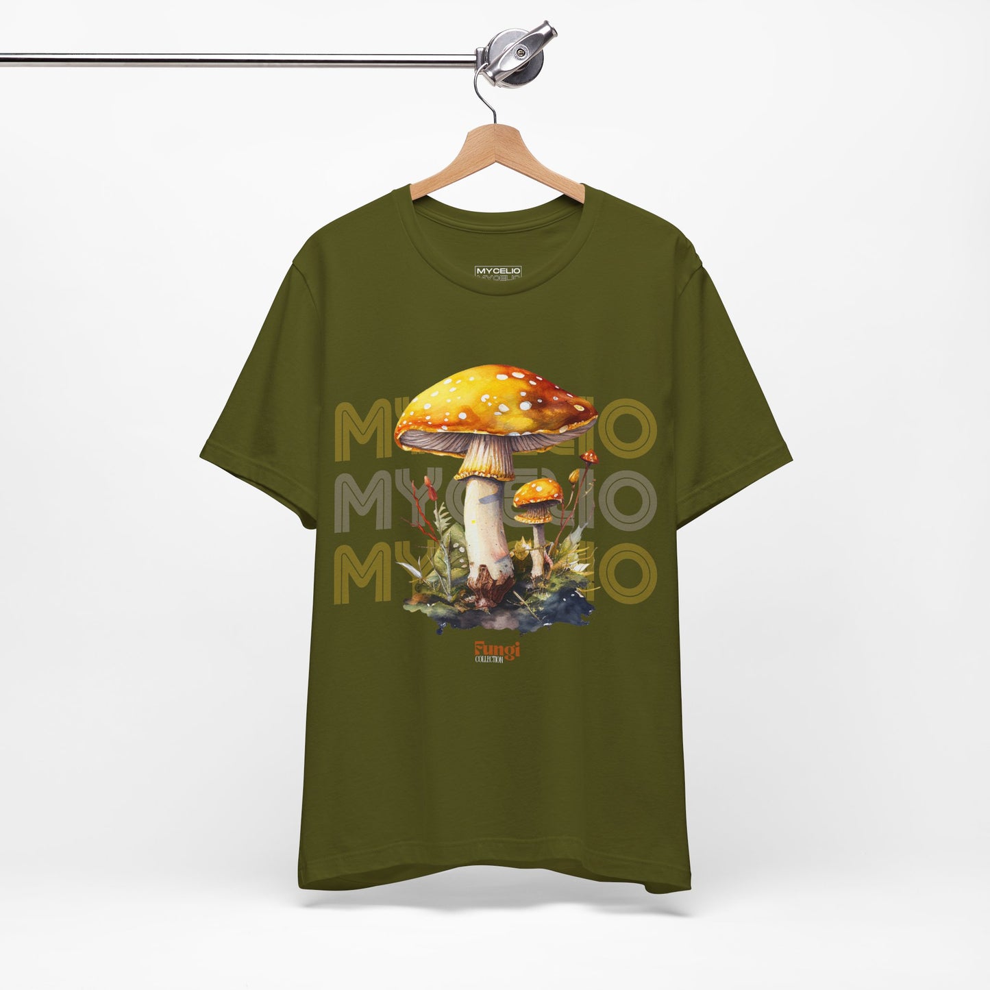 Amanita Y2