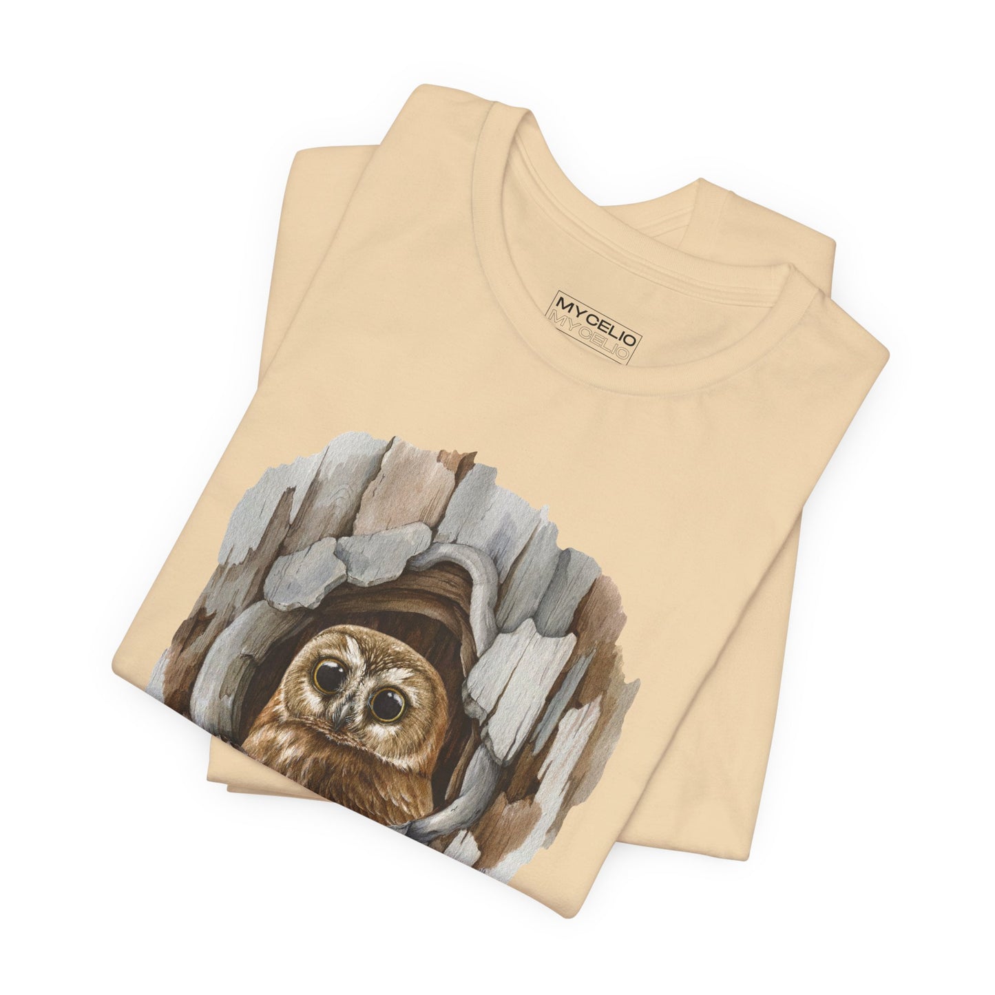 Owl Home
