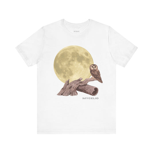 Moonlit Owl