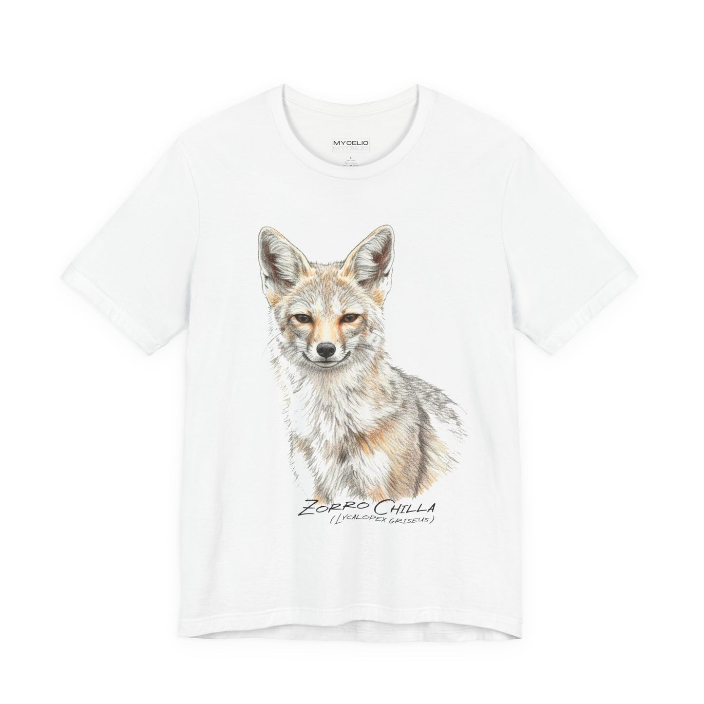 Patagonian Fox - (Lycalopex griseus)