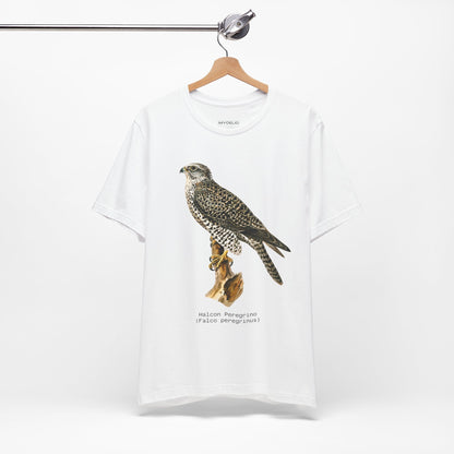 Peregrine Falcon