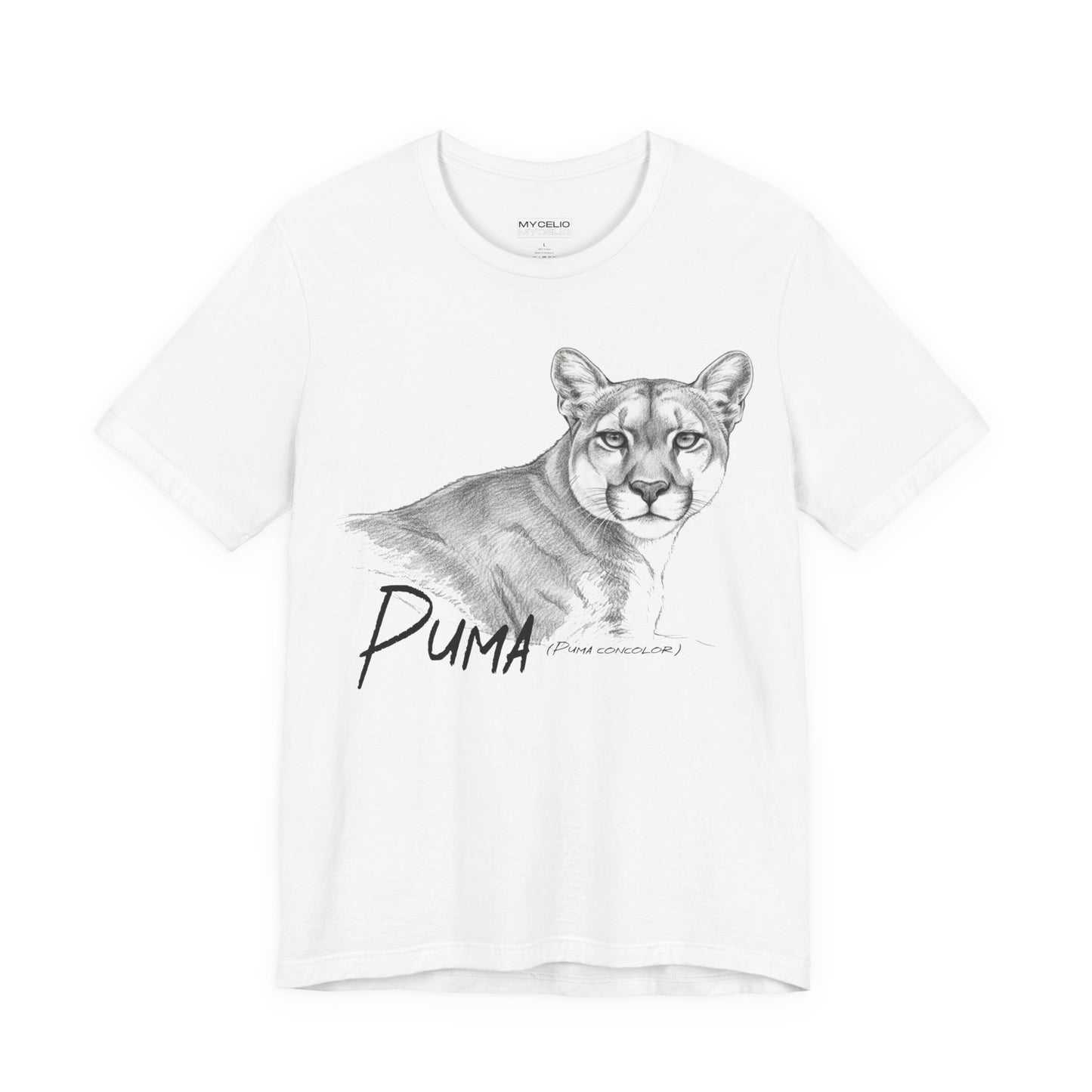 Ghost of Patagonia – Puma (Puma concolor)