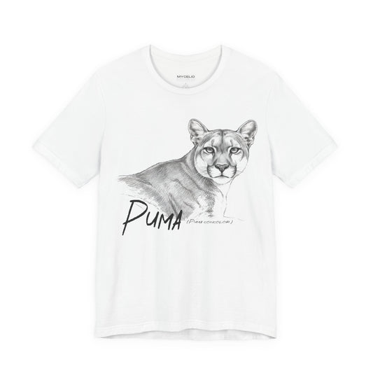 Ghost of Patagonia – Puma (Puma concolor)