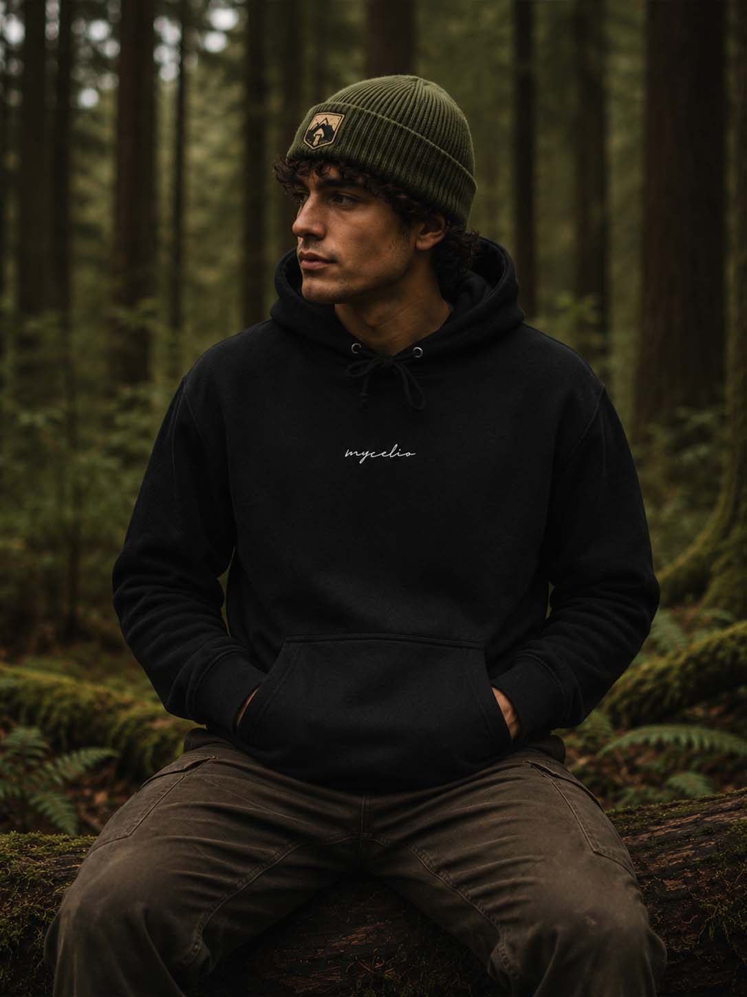 The Wanderer