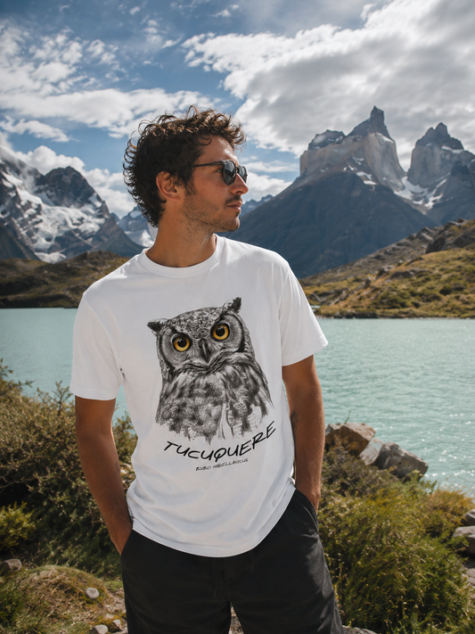 Tucuquere (Bubo magellanicus)