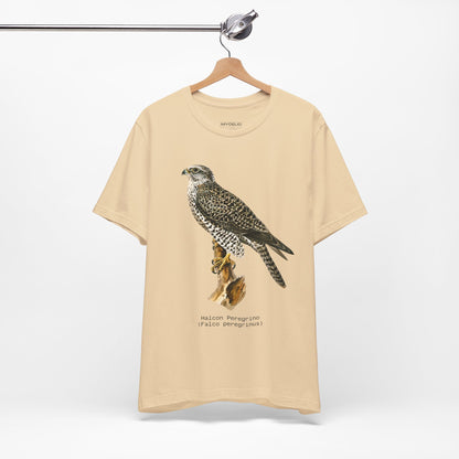 Peregrine Falcon
