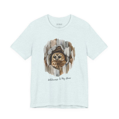 Owl Home