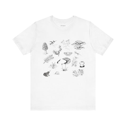 Botanical art