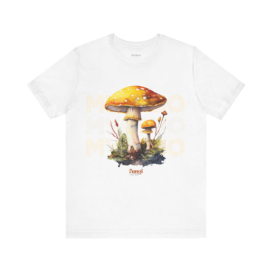 Amanita Y2