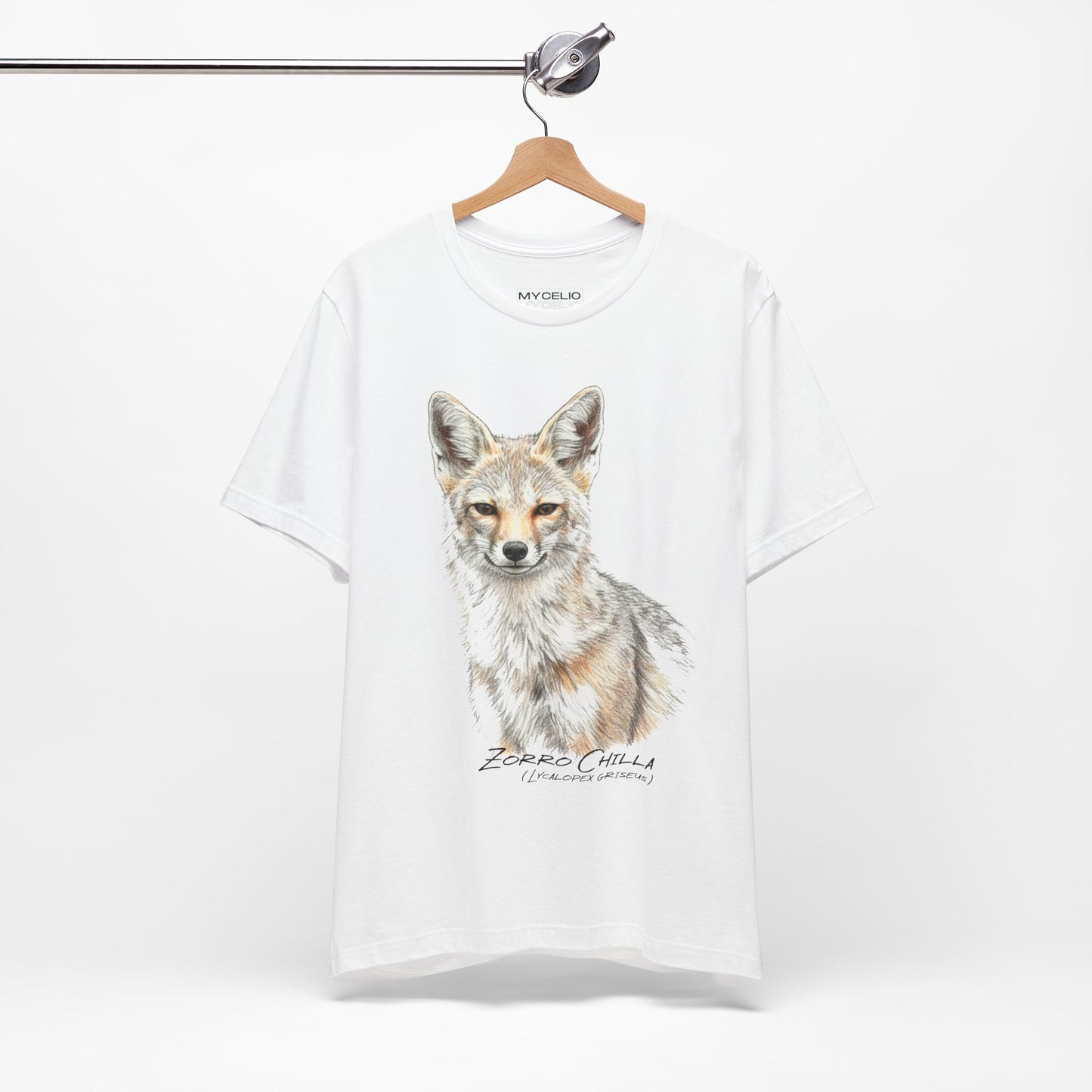 Patagonian Fox - (Lycalopex griseus)