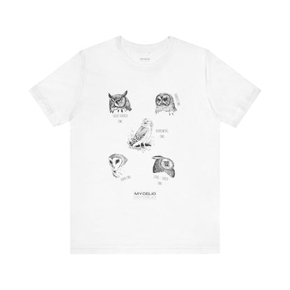 Ilustración de búho